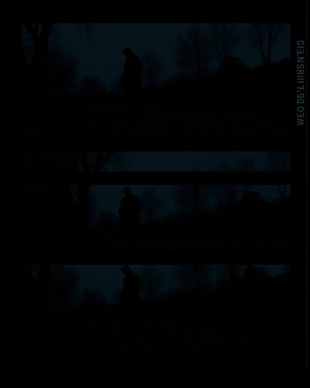 Aspect Ratio as Cinematic Argument: Why Loeb Trapped Zi in a Boxy Frame