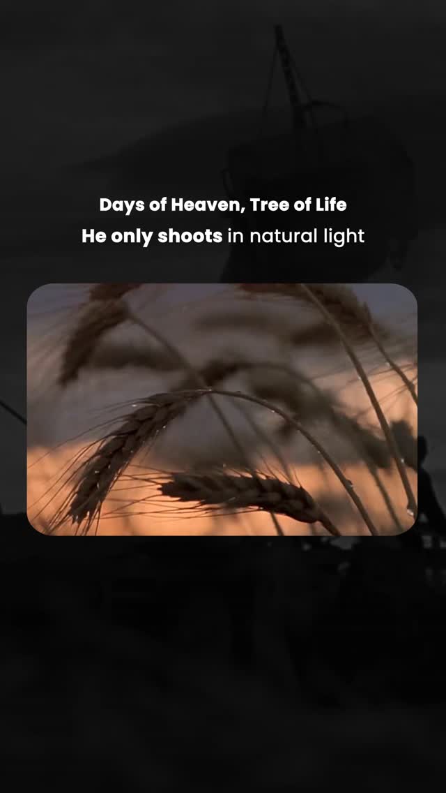 Chasing the Sun: Lubezki and Malick's Natural Light Dogma