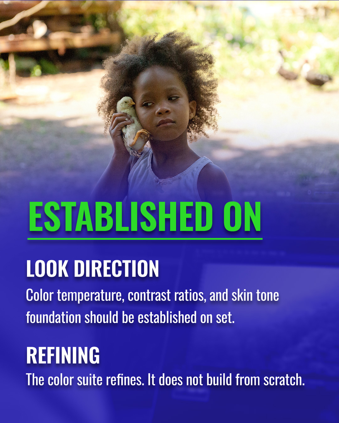 Color: Enhancement vs. Correction