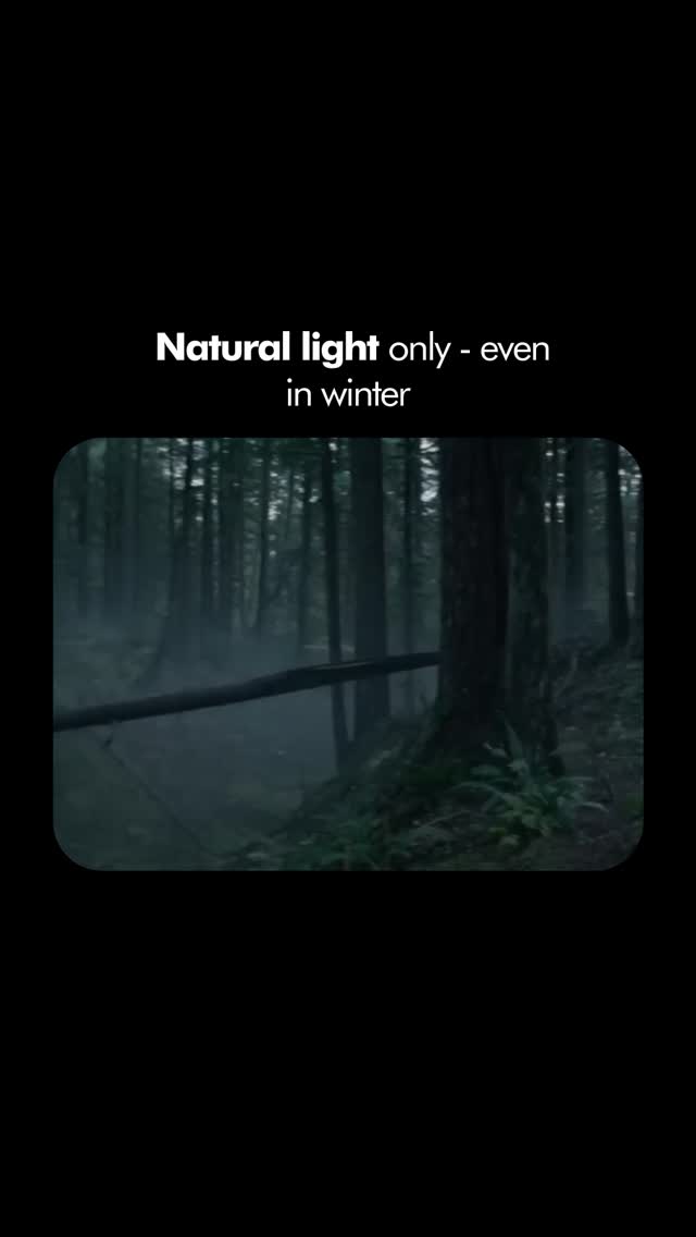 Natural Light at the Edge: Emmanuel Lubezki and The Revenant