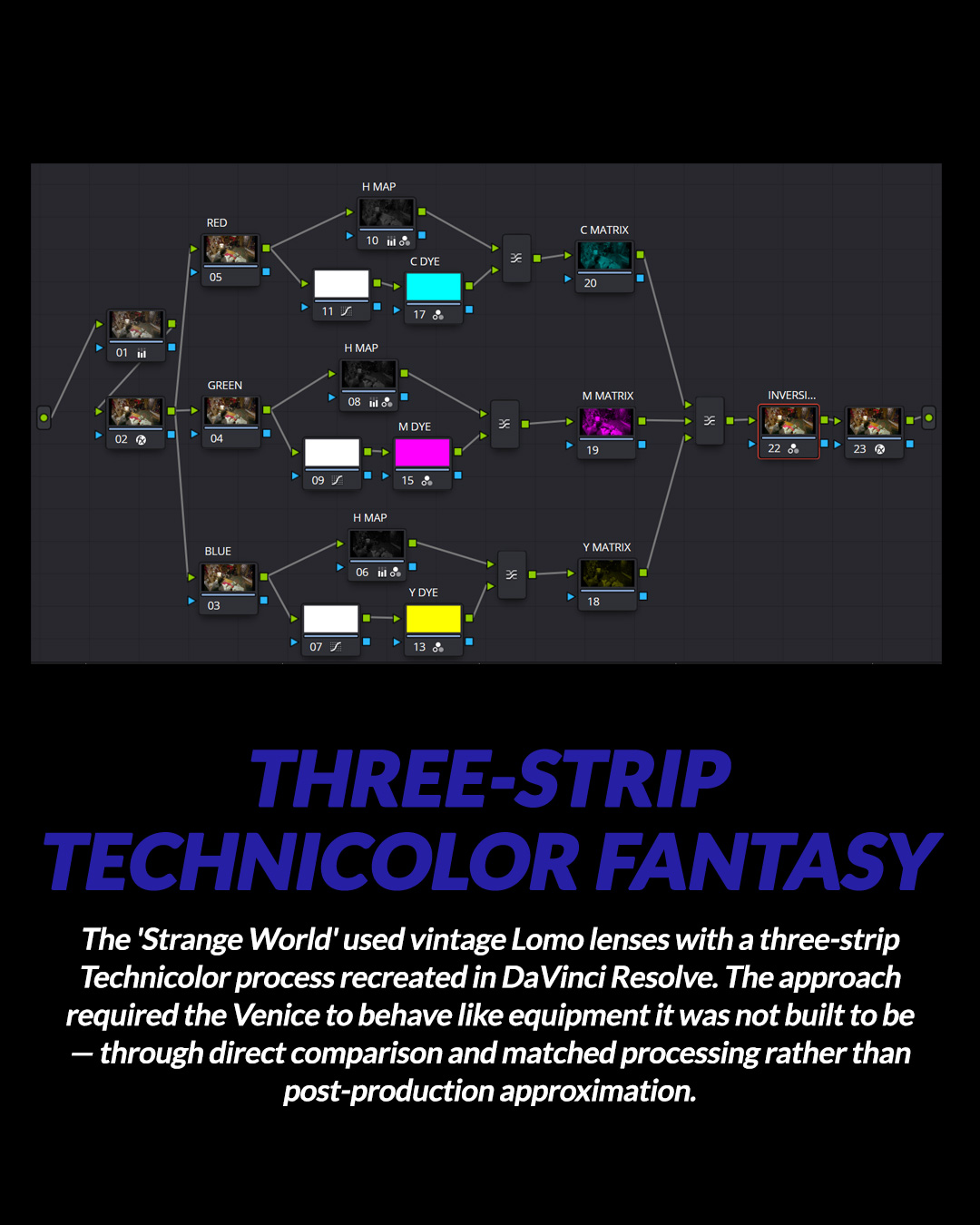 One Camera, Three Worlds: Buddy's Visual Alchemy