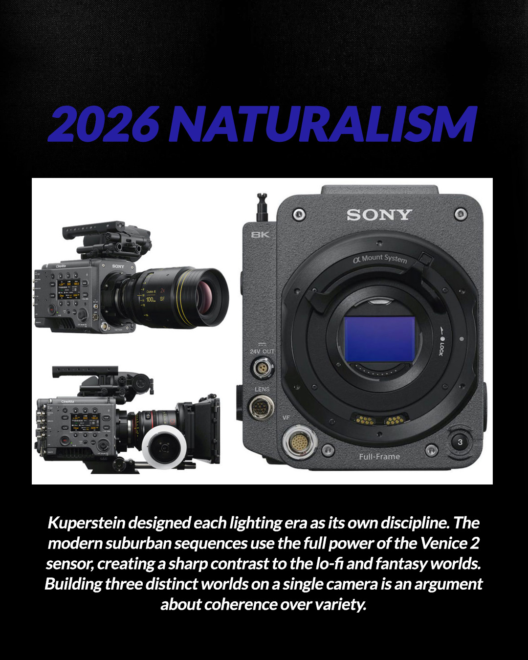 One Camera, Three Worlds: Buddy's Visual Alchemy
